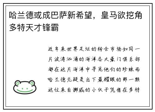 哈兰德或成巴萨新希望，皇马欲挖角多特天才锋霸